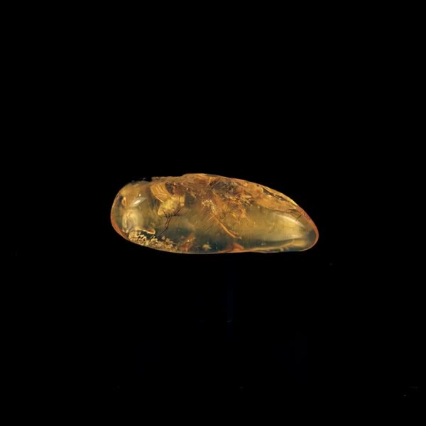 Amber crystal