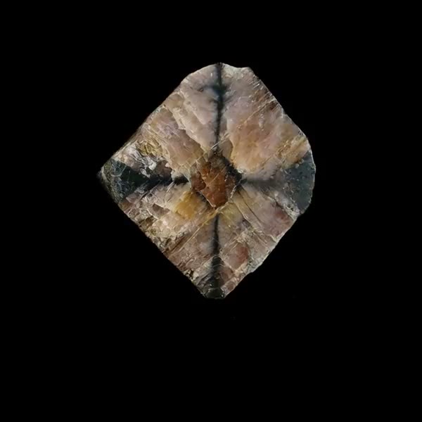Chiastolite crystal