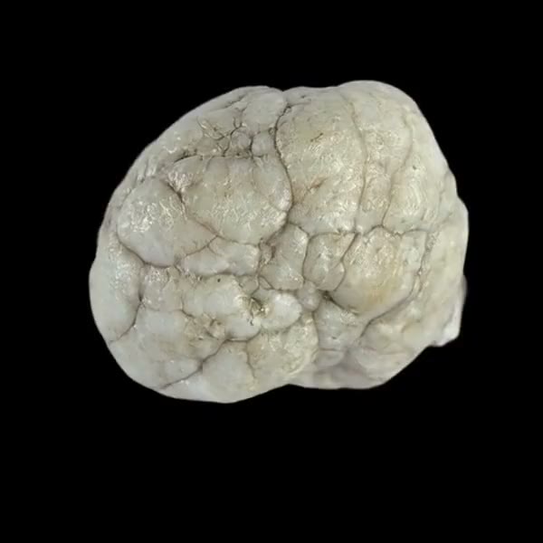 Howlite crystal